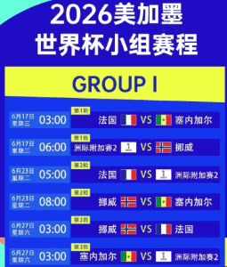 足球回放